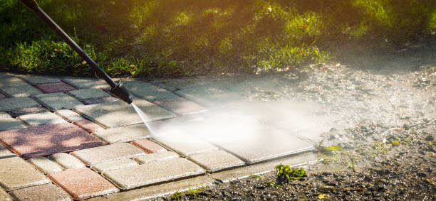 Best Sidewalk and Walkway Cleaning  in Reedsville, WI